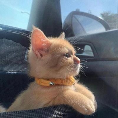 Trần Hữu Nghĩa avatar